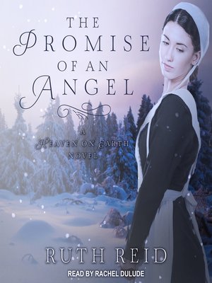 cover image of The Promise of an Angel